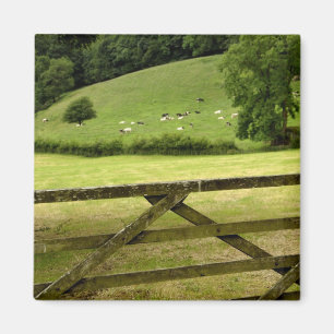 Europa, England, Lake District, Cumbria, Magnet