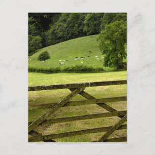Europa, England, Lake District, Cumbria, Postkarte