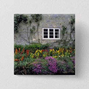 Europa, England, Teffont Magna. Blumen füllen Button