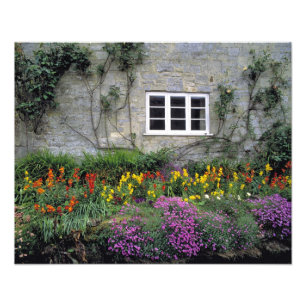 Europa, England, Teffont Magna. Blumen füllen Fotodruck