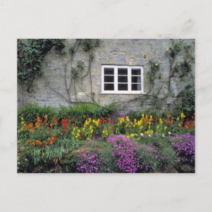 Europa, England, Teffont Magna. Blumen füllen Postkarte