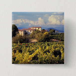 Europa, Frankreich, Bonnieux. Weinberge bedecken d Button
