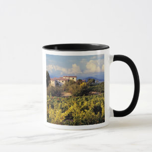 Europa, Frankreich, Bonnieux. Weinberge bedecken d Tasse