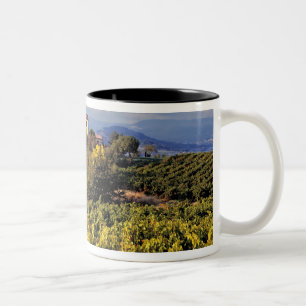 Europa, Frankreich, Bonnieux. Weinberge bedecken d Zweifarbige Tasse