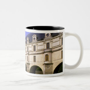 Europa, Frankreich, Loiretal. Schloss Zweifarbige Tasse