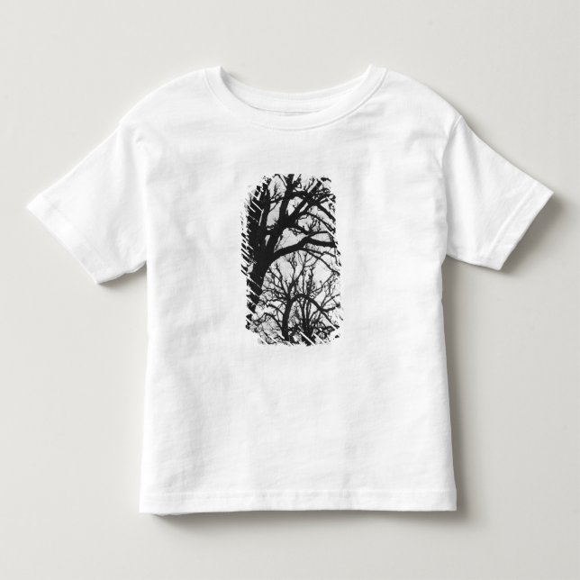 Europa, Frankreich, Paris. Winterbäume, Marco Kleinkind T-shirt (Vorderseite)