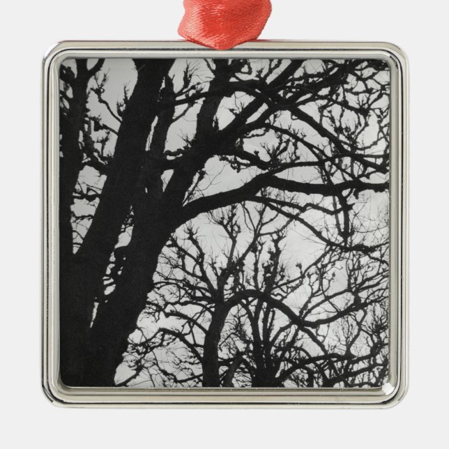 Europa, Frankreich, Paris. Winterbäume, Marco Ornament Aus Metall (Vorne)