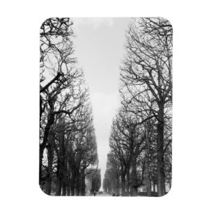 Europa, Frankreich, Paris. Winterbäume, Marco Polo Magnet