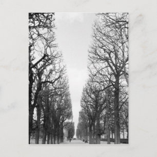 Europa, Frankreich, Paris Winterbäume, Marco Polo Postkarte