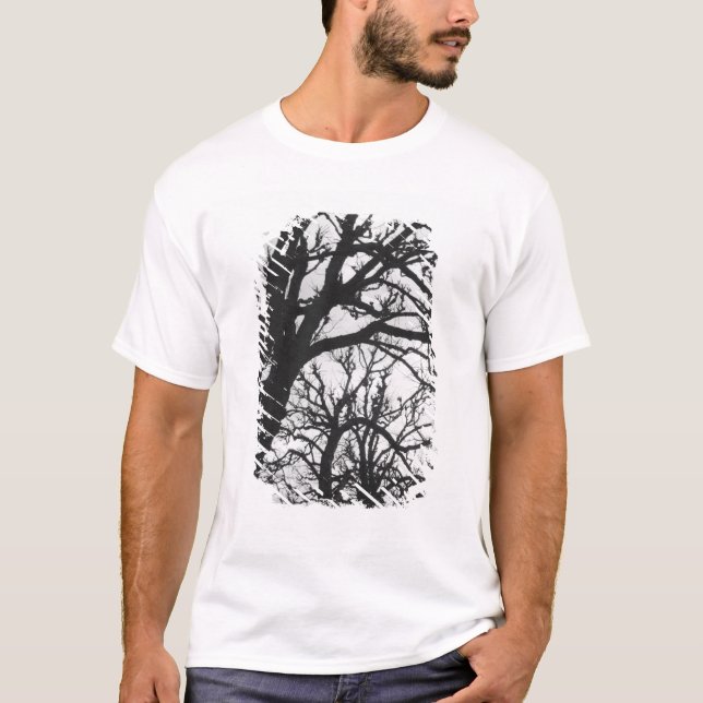 Europa, Frankreich, Paris. Winterbäume, Marco T-Shirt (Vorderseite)