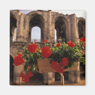Europa, Frankreich, Provence, Arles, Bouches, du, Magnet
