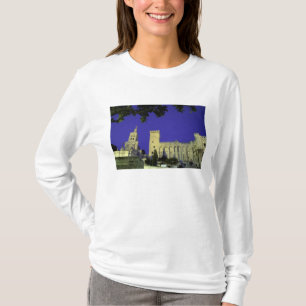 Europa, Frankreich, Provence, Avignon. Palais des T-Shirt