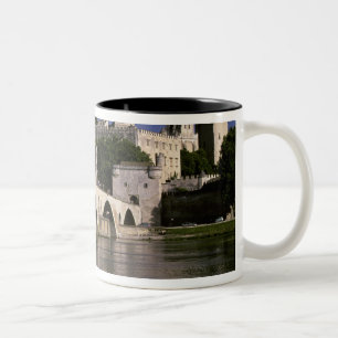 Europa, Frankreich, Provence, Avignon. Palais des Zweifarbige Tasse
