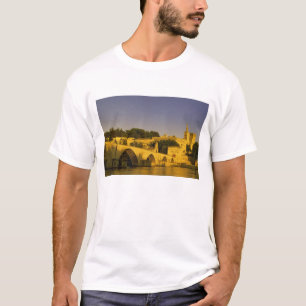 Europa, Frankreich, Provence, Avignon. Pont St, 2 T-Shirt