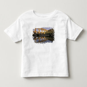 Europa, Frankreich, Provence, Gard; Pont du Gard, Kleinkind T-shirt