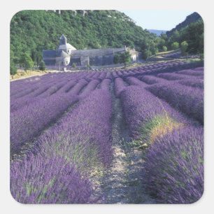 Europa, Frankreich, Provence. Laderäume Quadratischer Aufkleber