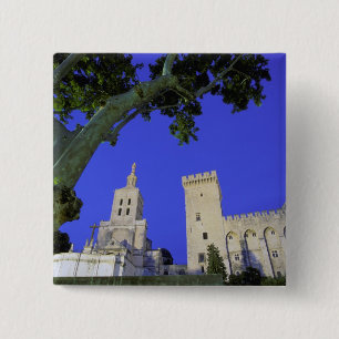 Europa, Frankreich, Provence, Vaucluse, Avignon. Button