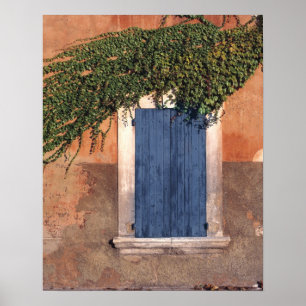 Europa, Frankreich, Roussillon. Efeu bedeckt die W Poster