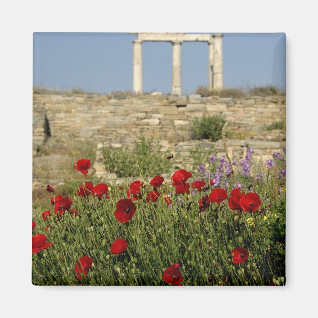 Europa, Griechenland, Cyclades, Delos. Spalten rui Magnet (Vorne)
