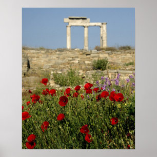 Europa, Griechenland, Cyclades, Delos. Spalten rui Poster