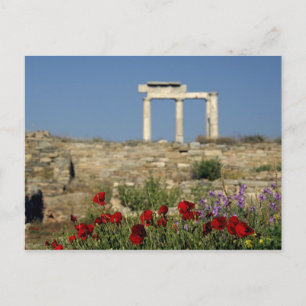Europa, Griechenland, Cyclades, Delos. Spalten rui Postkarte