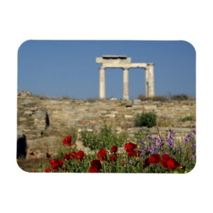 Europa, Griechenland, Kykladen, Delos. Säulenruine Magnet