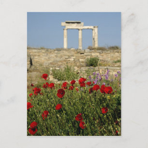 Europa, Griechenland, Kykladen, Delos. Säulenruine Postkarte