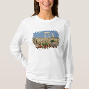 Europa, Griechenland, Kykladen, Delos. Säulenruine T-Shirt