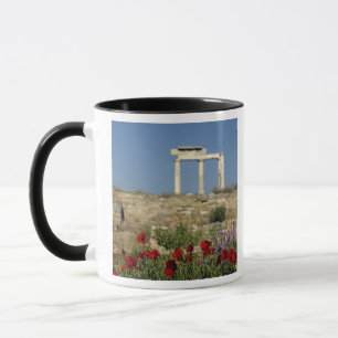 Europa, Griechenland, Kykladen, Delos. Säulenruine Tasse