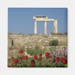 Europa, Griechenland, Kykladen, Delos. Spaltruinen Magnet