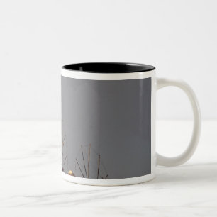 Europa, Griechenland, Mykonos. Windmühle mit Regen Zweifarbige Tasse