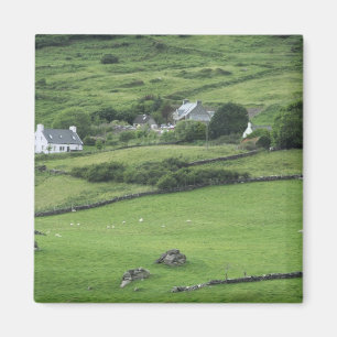Europa, Irland, Kerry County, Ring of Kerry. Magnet