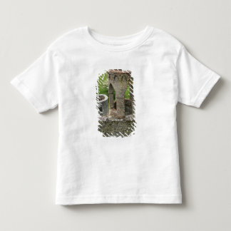 Europa, Irland, Schloss Blarney. DIESES BILD Kleinkind T-shirt