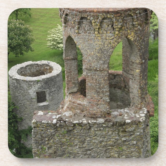 Europa, Irland, Schloss Blarney. DIESES BILD Untersetzer (Vorderseite)