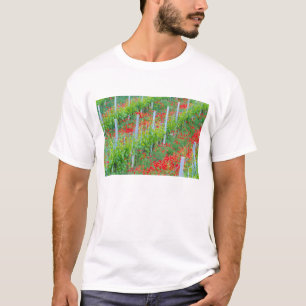 Europa, Italien, Toskana. Farbenfrohe rote Poppion T-Shirt