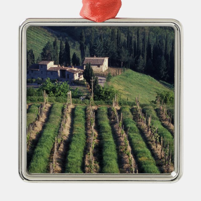 Europa, Italien, Toskana. Landschaftliche Villa cy Silbernes Ornament (Vorne)