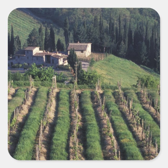 Europa, Italien, Toskana Landschaftliche Villa Cyp Quadratischer Aufkleber (Vorderseite)