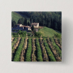 Europa, Italien, Toskana. Malerische Villa Zypern. Button