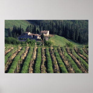 Europa, Italien, Toskana. Malerische Villa Zypern Poster