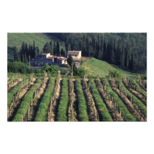 Europa, Italien, Toskana. Malerische Villa Zypress Fotodruck