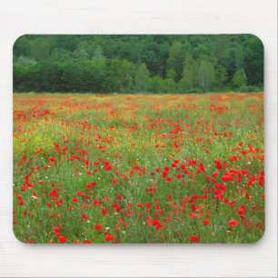 Europa, Italien, Toskana, rote Mohnblumen auf dem  Mousepad