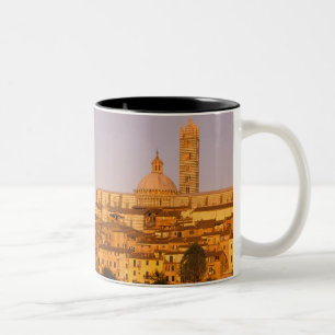 Europa, Italien, Toskana, Siena. 13. Jahrhundert 2 Zweifarbige Tasse