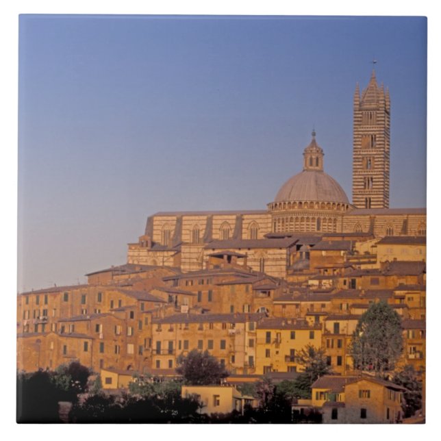 Europa, Italien, Toskana, Siena. 13. Jahrhundert 3 Fliese (Vorderseite)
