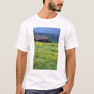 Europa, Italien, Toskana, Siena, Chianti. T-Shirt