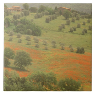 Europa, Italien, Toskana, Val D'Orcia, Monte Fliese