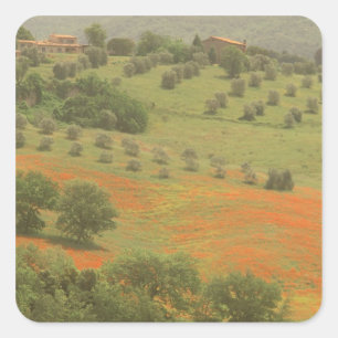 Europa, Italien, Toskana, Val D'Orcia, Monte Quadratischer Aufkleber