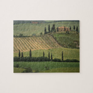 Europa, Italien, Toskana, Val d'Orcia, Toskana