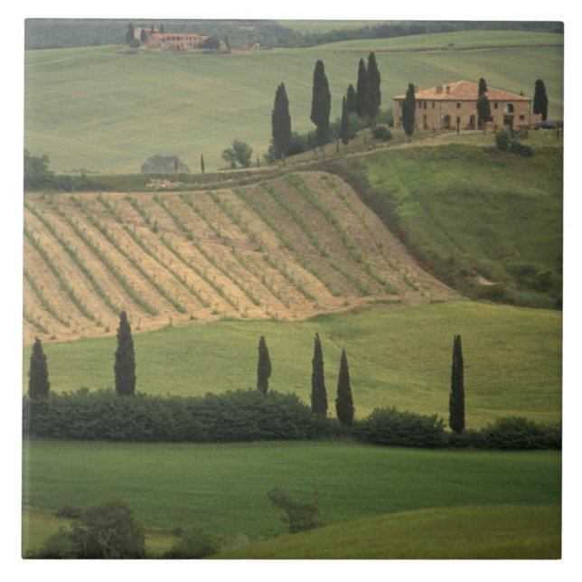 Europa, Italien, Toskana, Val d'Orcia, Toskana Fliese (Vorderseite)