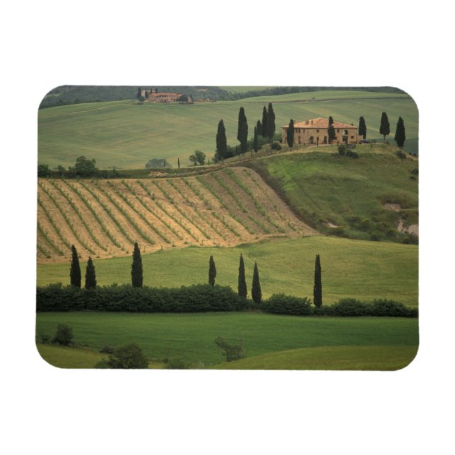 Europa, Italien, Toskana, Val d'Orcia, Toskana Magnet (Horizontal)