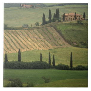 Europa, Italien, Toskana, Val d'Orcia, Toskanisch Fliese